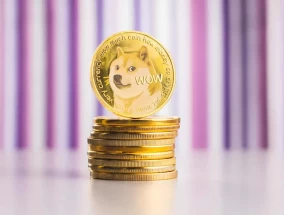 加密货币洞察：Doge价格可能上涨6770%