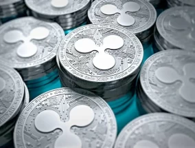 加密景观洞察：XRP的主要持有者将于2024年12月公布