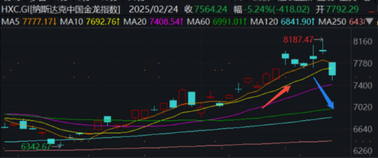 股债怎么配|科技股走出过山车，背后究竟发生了什么？